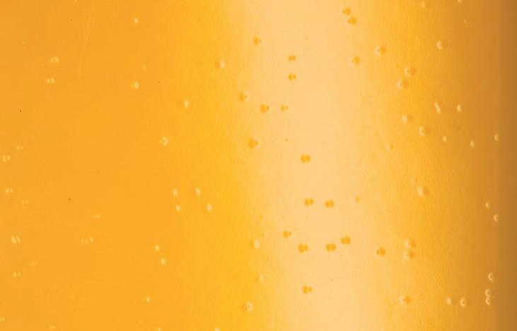 Solvent Popping in Paint